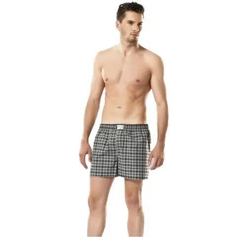 Anıt 1118 Poplin Boxer - DESENLİ