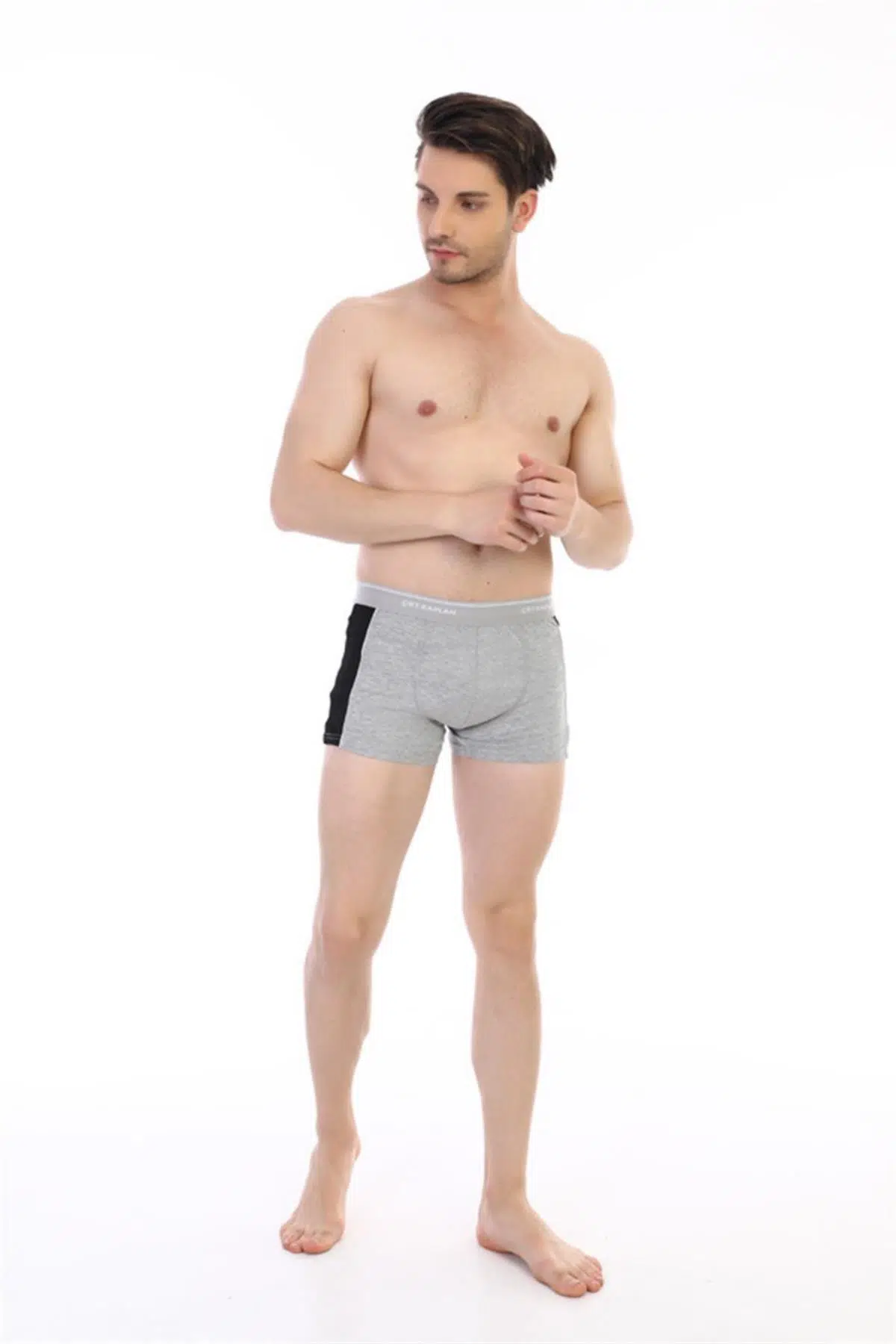 Çift Kaplan 850 Erkek Biyeli Elastanlı Boxer - GRİ
