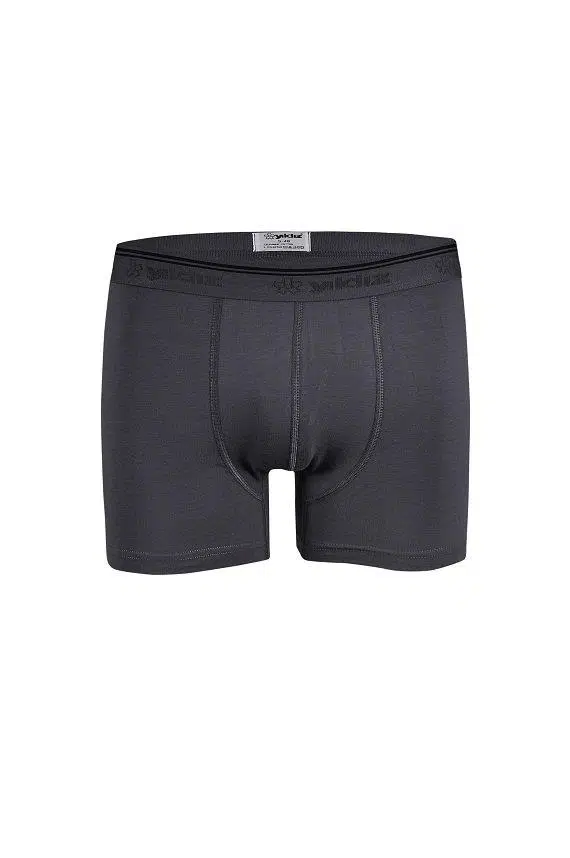 Yıldız 369 Füme Formen Likralı Boxer - FÜME